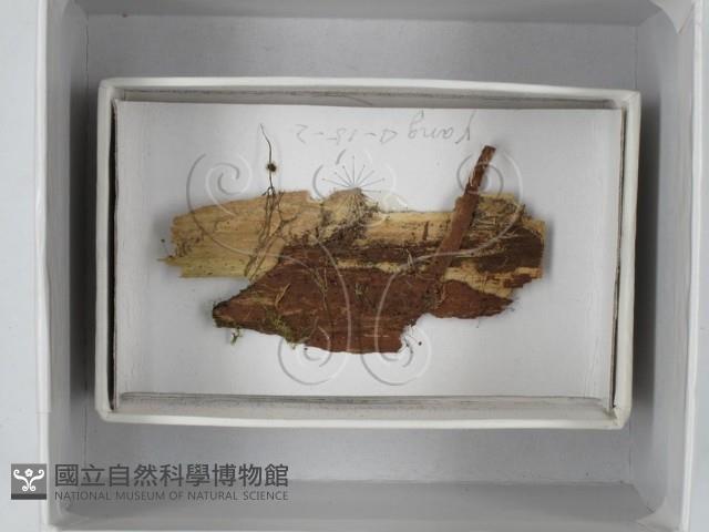 登錄號:F0018515藏品圖，第1張