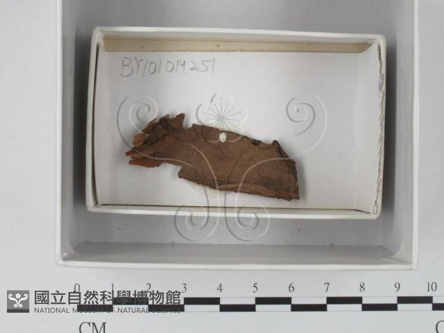 登錄號:F0018115藏品圖，第1張