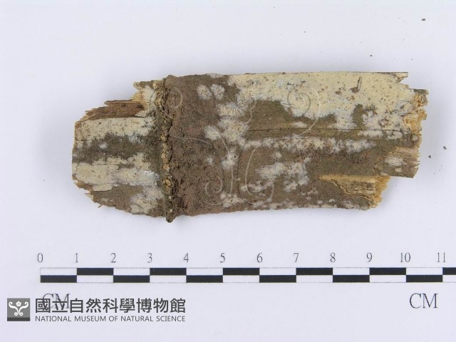 登錄號:F0004115藏品圖，第1張