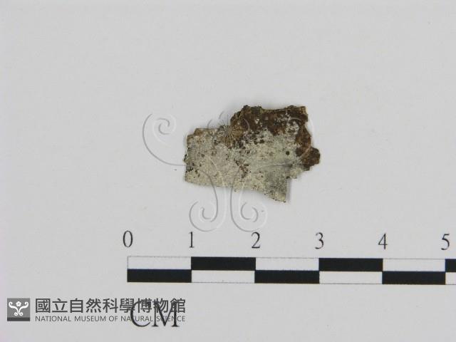 登錄號:F0000015藏品圖，第1張