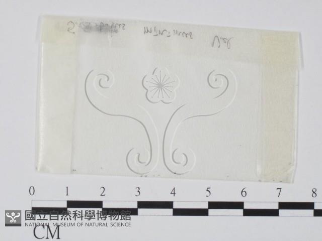 登錄號:F0001015藏品圖，第1張