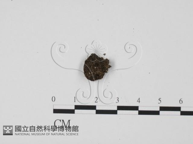 登錄號:F0003015藏品圖，第1張