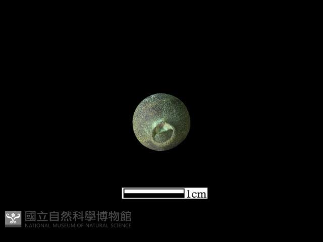 墜飾藏品圖，第2張