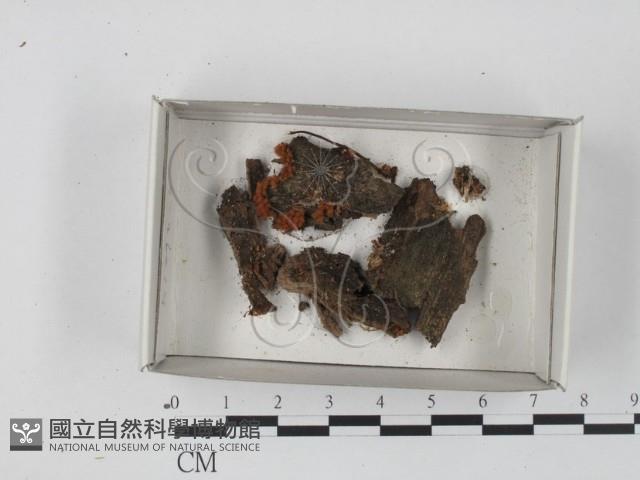 登錄號:F0018315藏品圖，第1張