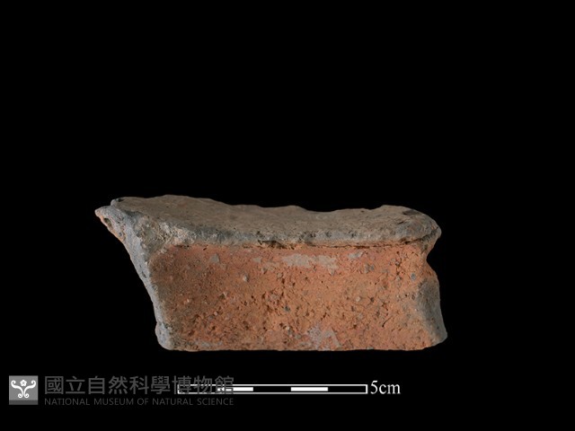 陶罐藏品圖，第1張