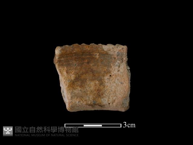 陶罐藏品圖，第1張