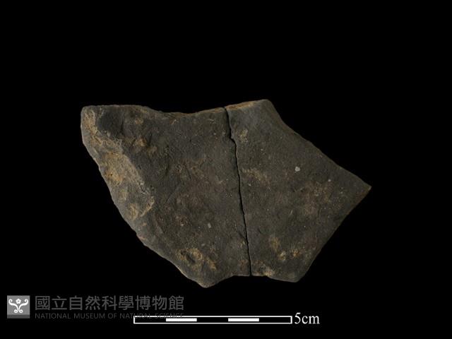 陶片藏品圖，第2張