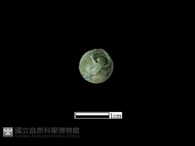 墜飾藏品圖，第1張