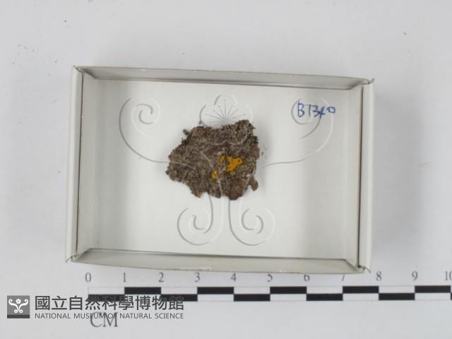 登錄號:F0018295藏品圖，第1張