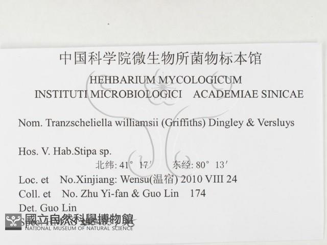 登錄號:F0026295藏品圖，第3張