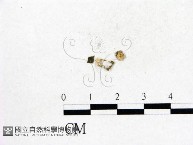 登錄號:F0016295藏品圖，第1張