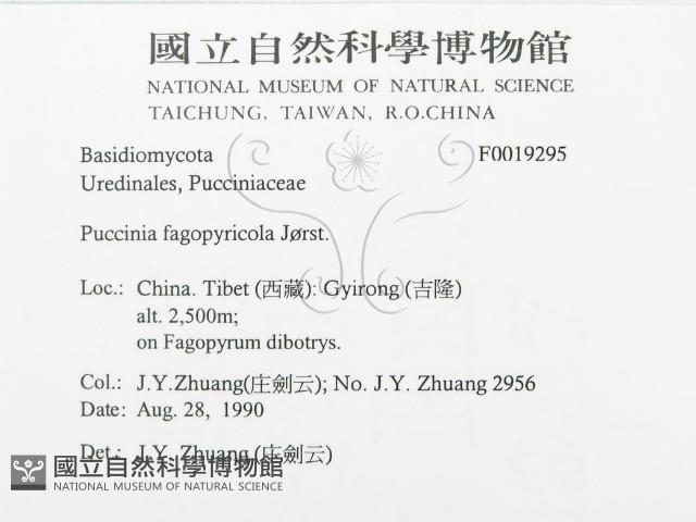登錄號:F0019295藏品圖，第3張