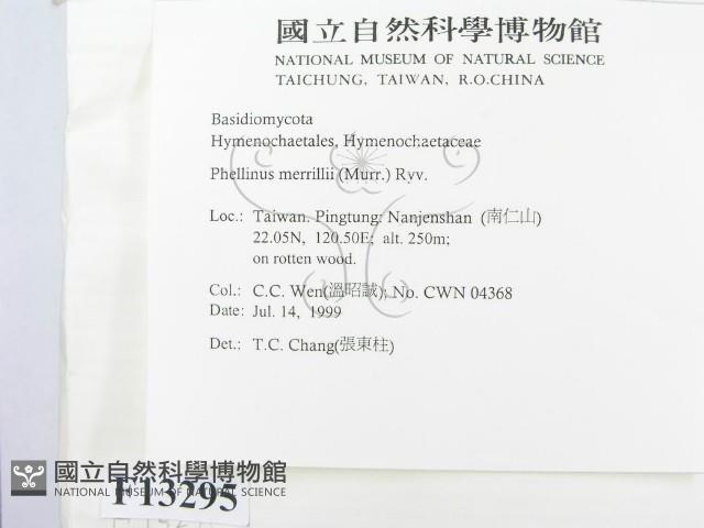 登錄號:F0013295藏品圖，第3張