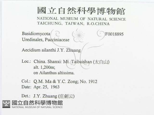 登錄號:F0018895藏品圖，第3張
