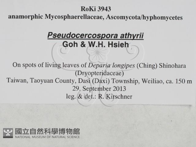 登錄號:F0027895藏品圖，第3張