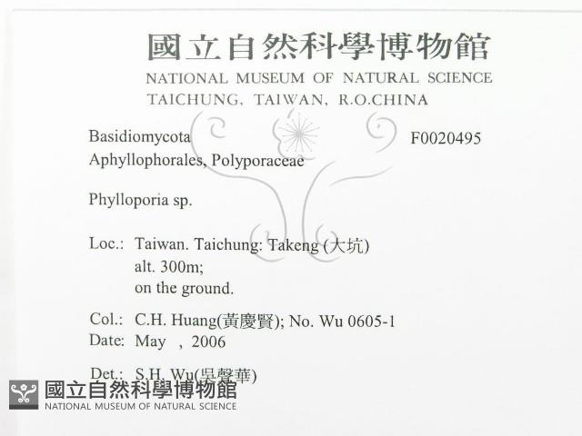 登錄號:F0020495藏品圖，第3張