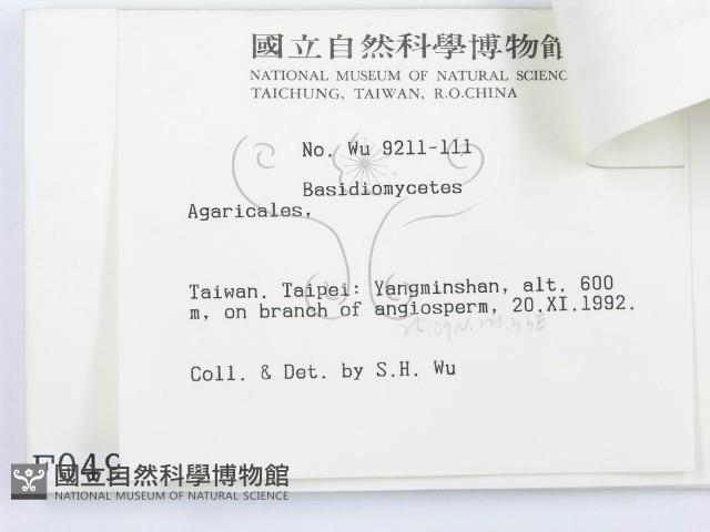 登錄號:F0000495藏品圖，第3張