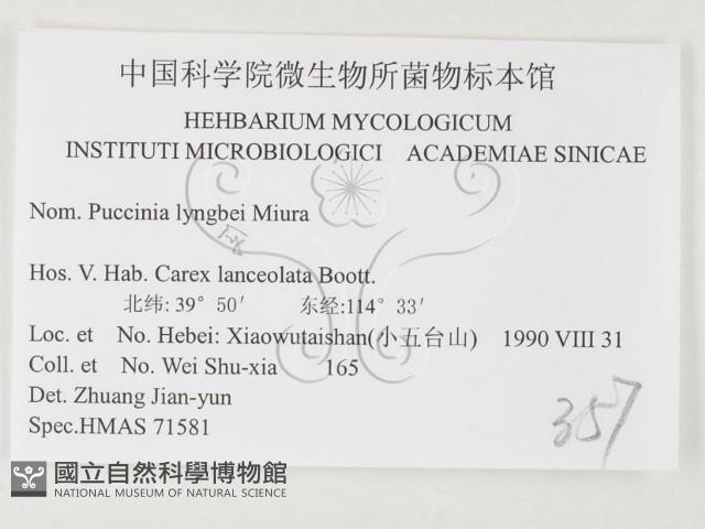 登錄號:F0026495藏品圖，第3張