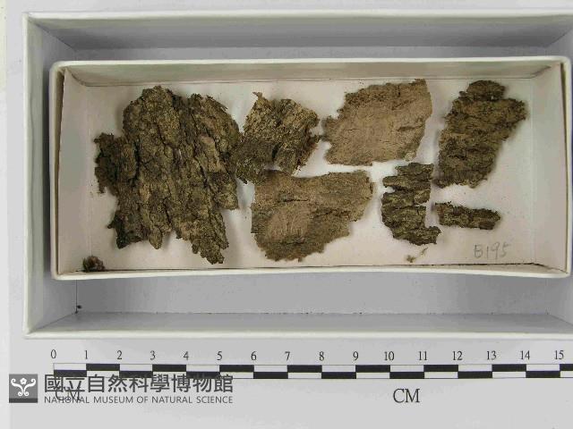 登錄號:F0021495藏品圖，第1張