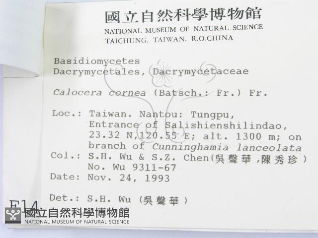 登錄號:F0001495藏品圖，第3張
