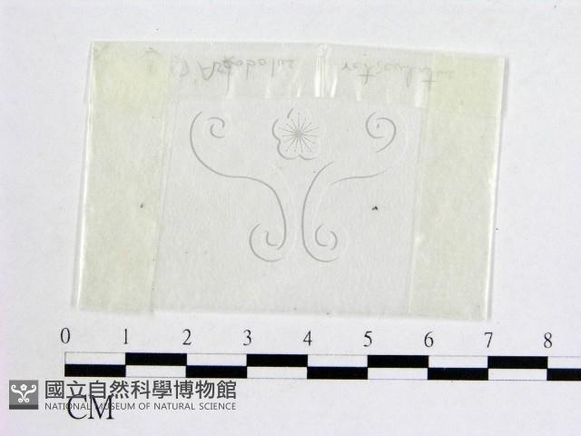 登錄號:F0002495藏品圖，第3張