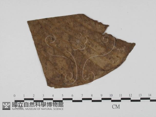 登錄號:F0019495藏品圖，第1張