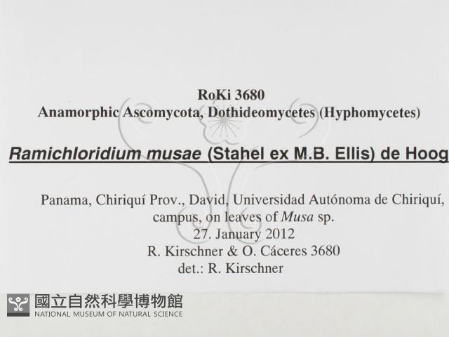 登錄號:F0026795藏品圖，第3張