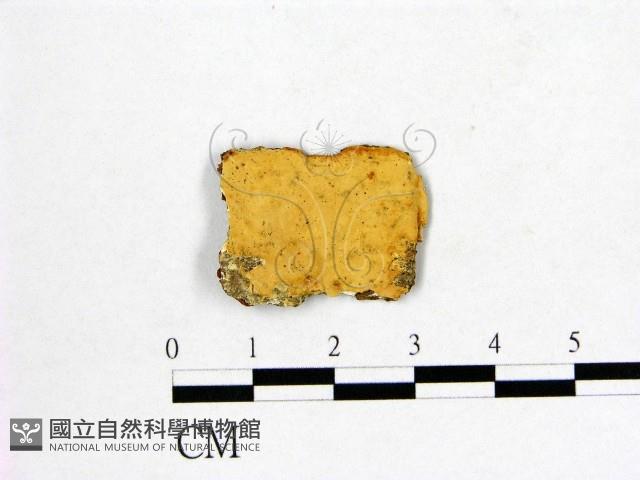 登錄號:F0016795藏品圖，第1張