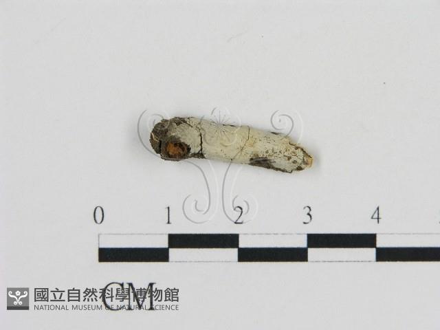 登錄號:F0002795藏品圖，第1張