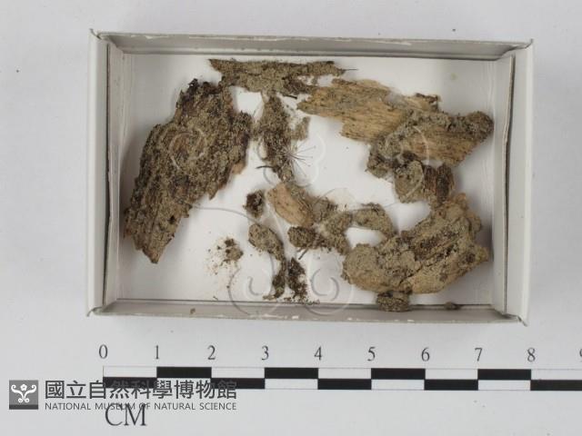 登錄號:F0020595藏品圖，第1張