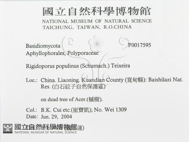 登錄號:F0017595藏品圖，第3張