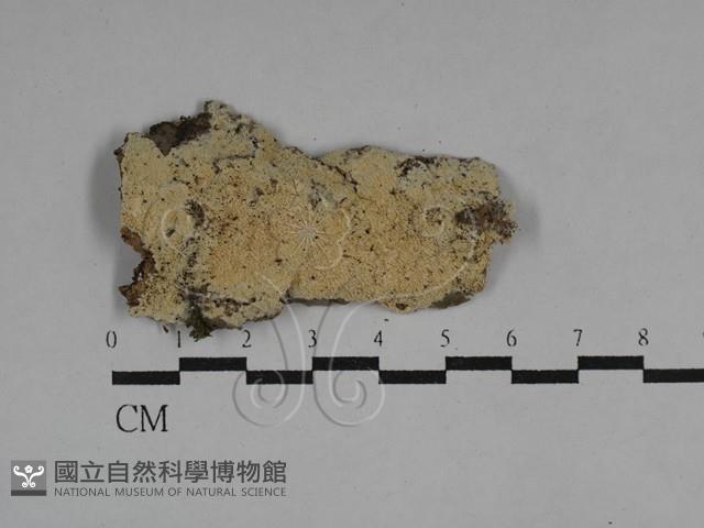 登錄號:F0029595藏品圖，第1張