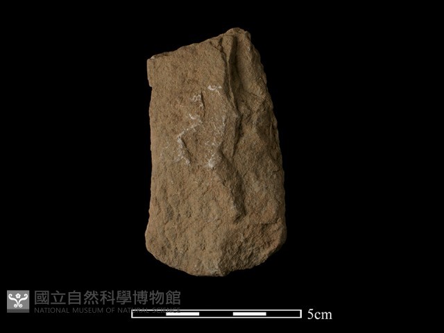 斧鋤形器藏品圖，第2張