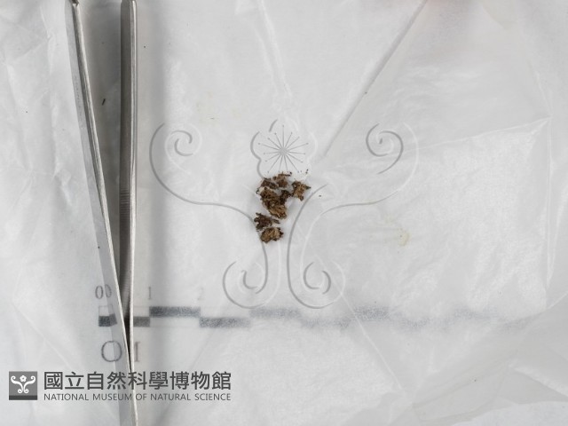 登錄號:F0023195藏品圖，第1張