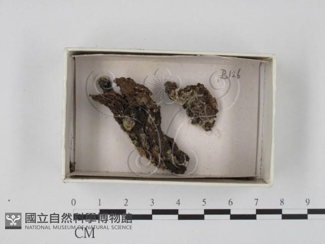 登錄號:F0018395藏品圖，第1張