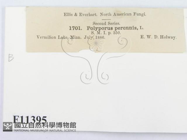 登錄號:F0011395藏品圖，第3張