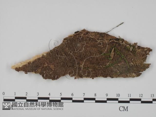 登錄號:F0017395藏品圖，第1張