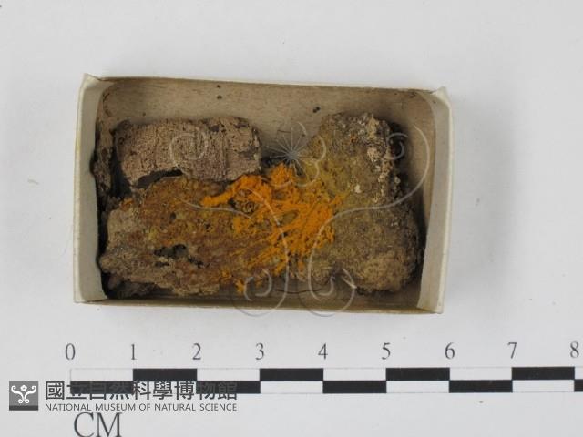 登錄號:F0018285藏品圖，第1張