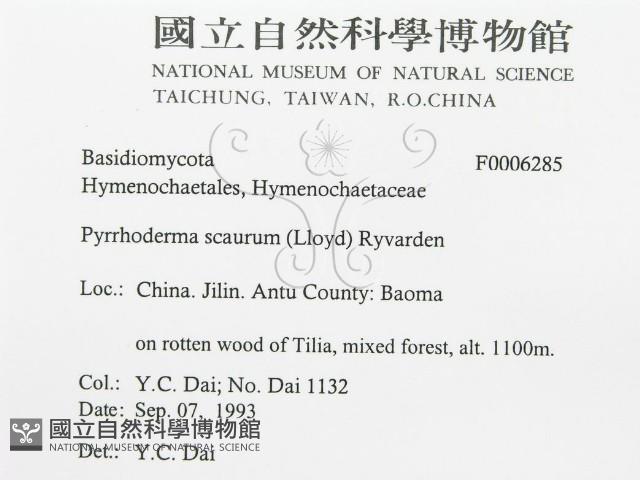 登錄號:F0006285藏品圖，第3張