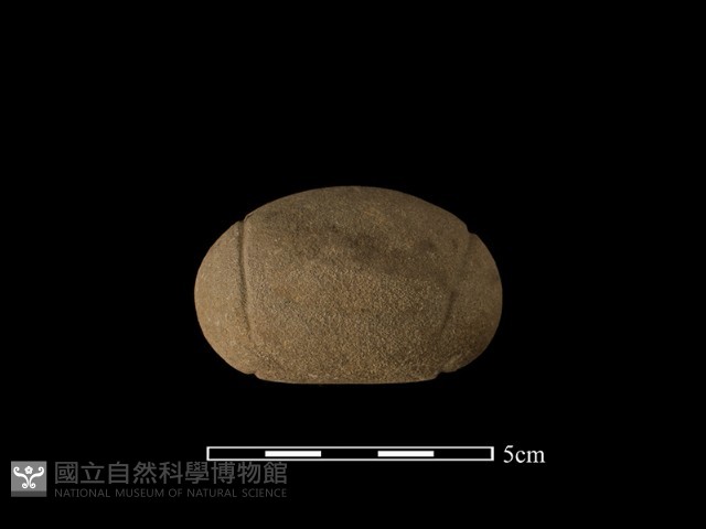 網墜藏品圖，第2張