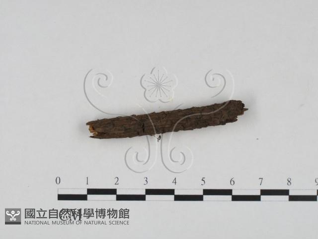 登錄號:F0020885藏品圖，第1張