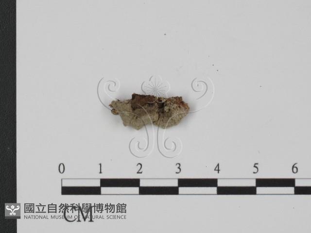 登錄號:F0017885藏品圖，第1張