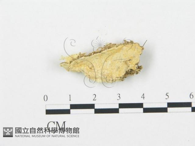 登錄號:F0009885藏品圖，第1張