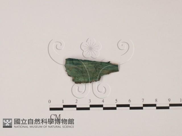 登錄號:F0013885藏品圖，第1張