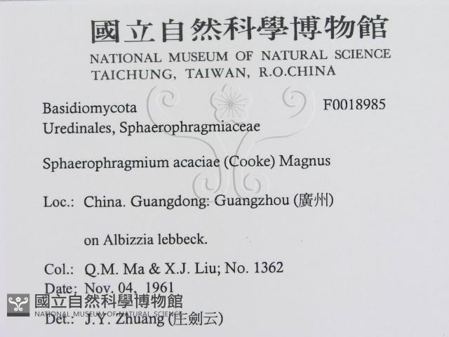 登錄號:F0018985藏品圖，第3張