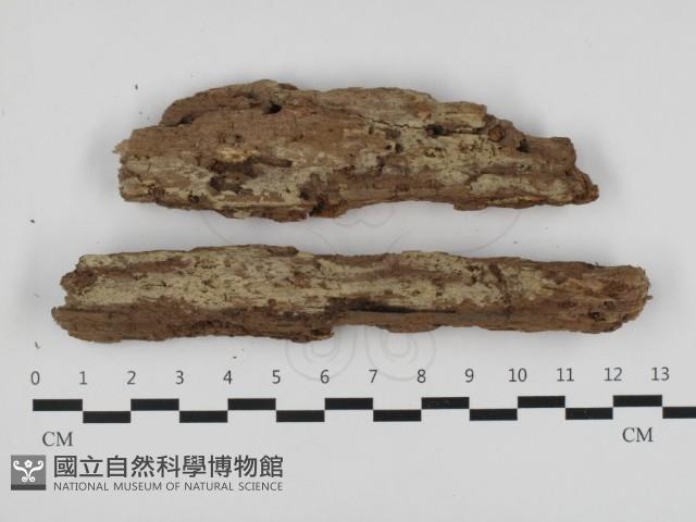 登錄號:F0032685藏品圖，第1張