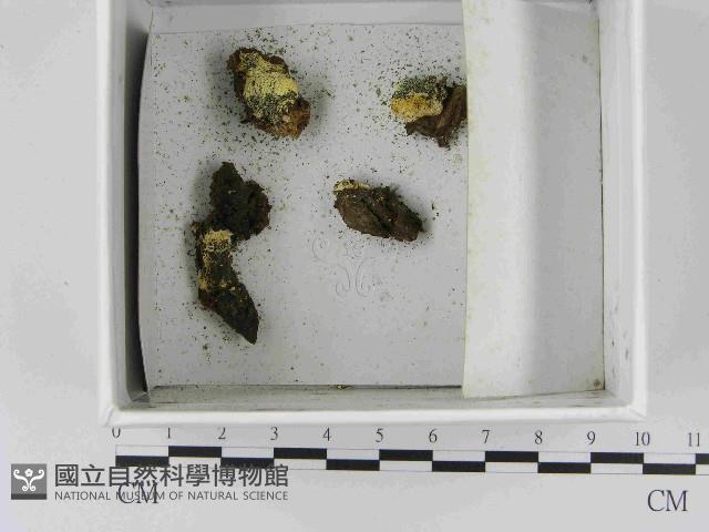登錄號:F0021485藏品圖，第1張