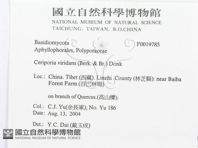 登錄號:F0019785藏品圖，第3張