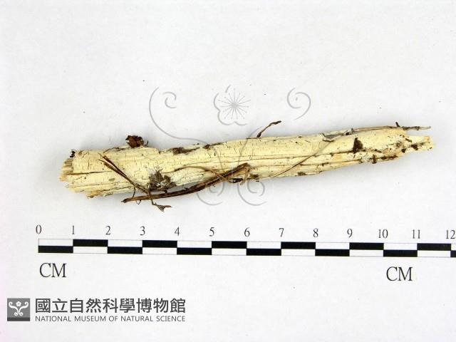 Accession Number:F0022585 Collection Image, Figure 1, Total 3 Figures