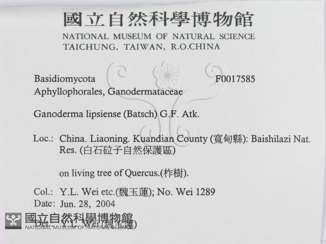 登錄號:F0017585藏品圖，第3張